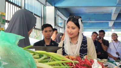 Wamen Perdagangan RI Kunjungi Pasar Pandu Banjarmasin, Pantau Harga dan Berikan Bantuan