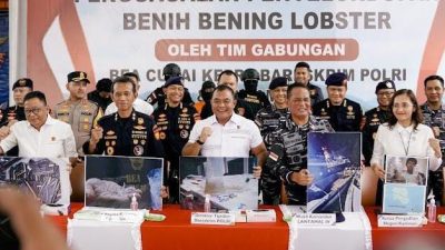 Penyelundupan 151 Ribu Benih Lobster Senilai Rp 15 Miliar Berhasil Digagalkan