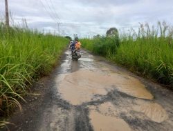 Warga Kuripan Harapkan Pemkab Batola Perbaiki Jalan Wilayah Utara Kutabamara