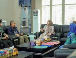 Majukan Produk Lokal HST, Bunda Deden Mulai Persiapkan Kegiatan Dekranasda