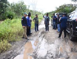 Bupati Kapuas Tinjau Langsung Kondisi Terkini Jalan Poros