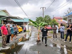 Warga Karya Mufakat Tanam Pohon Pisang sebagai Aksi Protes Jalan Rusak