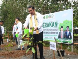 Pemerintah Kabupaten Pulang Pisau Apresiasi Gerakan Penanaman 1 Juta Pohon Serentak