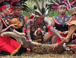 Gawe Dayak Naik Dango XXV: Tradisi, Seni, dan Solidaritas di Singkawang