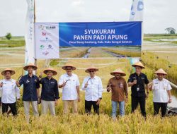 Kembangkan Budi Daya Padi Apung di HSS, OJK Kalsel Dorong Pertumbuhan Ekonomi Daerah