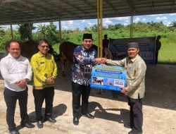 Serah Terima Hewan Kurban dari Presiden RI Untuk Warga Pulang Pisau