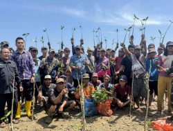 DKP Kalsel Pulihkan Ekosistem Pesisir Dengan Menanam 113 Ribu Pohon Mangrove
