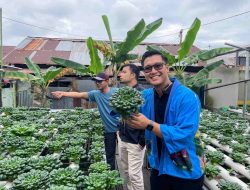 Kolaborasi untuk Ketahanan Pangan Kalsel, Inovasi Hidroponik Rumah BUMN Pertamina