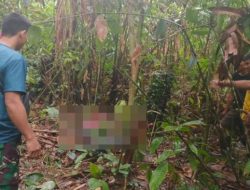 Perkembangan Kasus Temuan Mayat Tanpa Kepala Loksado, Polres HSS Komitmen Tuntaskan Kasus