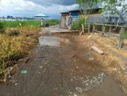 Warga Desa Babahan Harapkan Perbaikan Jalan dan Jembatan dari Pemkab Batola