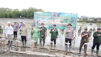 HUT ke-67 Kodam VI/Mulawarman Tanam Mangrove di Kawasan Pesisir Tanbu