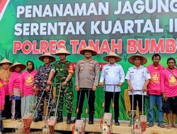 Tanah Bumbu Tanam Jagung Serentak Kuartal III, Dukung Ketahanan Pangan Nasional