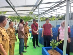 Kembangkan Agrowisata Terpadu, PLN UP2B Kalselteng Luncurkan Kebun Anggur