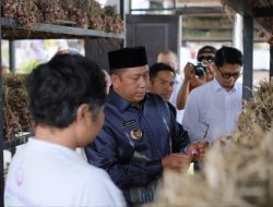 Kembangkan Produksi Bawang Merah, TPID Barito Kuala Belajar ke Petani Bali