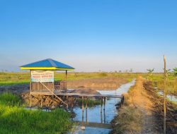 Desa Jambu Baru Siap Luncurkan Objek Wisata Pemancingan dan Budidaya Ikan Lokal