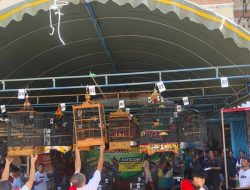 Trio Motor Martadinata Gelar Lomba Burung Berkicau 2025 : Satukan Komunitas Lewat Hobi dan Harmoni
