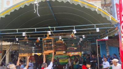 Trio Motor Martadinata Gelar Lomba Burung Berkicau 2025 : Satukan Komunitas Lewat Hobi dan Harmoni