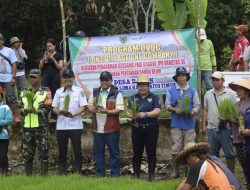 Kolaborasi Desa Bagok dan PT Adaro, Program OVOC Dorong Produktivitas Petani