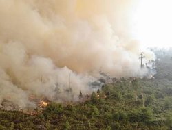 Dinas Kehutanan Kalsel Siaga, 1.400 Titik Api Ditemukan