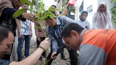 Sekretariat DPRD Kalsel Hijaukan Kantor dengan Penanaman Pohon pada Hari Jadi Provinsi ke-75