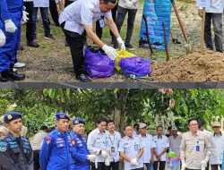 Pemerintah Kalsel Musnahkan 900 Telur Penyu Ilegal, Tegaskan Komitmen Lindungi Satwa Laut Dilindungi