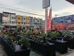 Puluhan Bonsai Unik Tampil di Mini Contest Honda Delima Motor Sutoyo