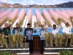 GNPIP Kalimantan 2025 : Gubernur Muhidin Tegaskan Komitmen Jaga Stabilitas Harga & Ketahanan Pangan