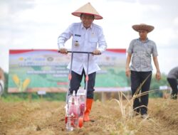 Bupati Abdul Hadi : Penanaman Jagung Serentak Jadi Langkah Nyata Perkuat Swasembada Pangan Nasional