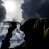 Banjarmasin “Dikepung” Cuaca Panas, Plt. Kadinkes M. Ramadhan Bagikan 7 Tip Lindungi Diri