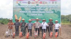 Sekda Pulang Pisau Hadiri Penanaman Jagung Serentak Kuartal IV, Dukung Swasembada Pangan 2025