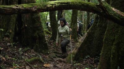 Hadirkan Layanan Dasar untuk Masyarakat Juhu, Mama Deden Tembus Belantara Meratus