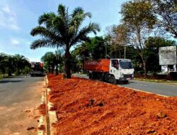 Pemkab Tanah Bumbu Percantik Area Perkantoran dengan Taman Trotoar