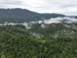 Sengketa Tapal Batas HST-Kotabaru Dibahas di Forum Internasional