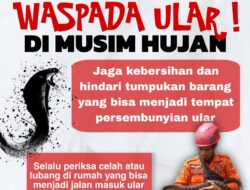 Musim Hujan, BPBD Balangan Ingatkan Warga Waspada Ular Masuk Rumah