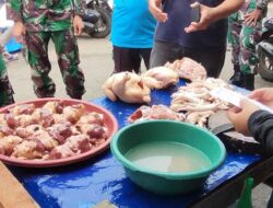 Pekan Pertama Desember 2025, Harga Ayam di Kabupaten HST Relatif Stabil