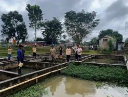 DKP Kalsel Lakukan Peninjauan Lapangan, Optimalkan Budidaya Ikan Haruan sebagai Komoditas Unggulan Daerah