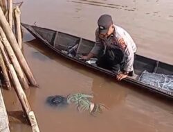 Penemuan Mayat Perempuan Mengapung di Samping Pelabuhan Feri Kalawa-Pulang Pisau Gegerkan Warga