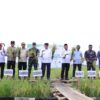 Panen Raya Nasional Bersama Presiden, Gubernur Muhidin Tegaskan Kalsel Surplus Beras 1,2 Juta Ton
