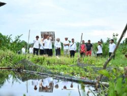 Tinjau Kampung Haruan, Wabup HSS Dorong Optimalisasi Potensi Perikanan Lokal