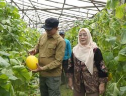 Bupati Bartim Dorong Hortikultura Jadi Penggerak Ekonomi Desa