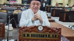 ‎Rosehan NB Soroti Jalan Berlubang di Jembatan 17 Mei Banjarmasin