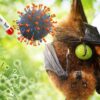 Belum Ada Kasus, Kalsel Perkuat Kesiapsiagaan Hadapi Ancaman Virus Nipah