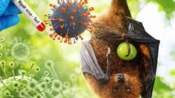 Belum Ada Kasus, Kalsel Perkuat Kesiapsiagaan Hadapi Ancaman Virus Nipah