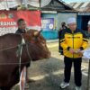 Polda Kalsel Serahkan Sapi Limosin untuk Dukung Haul ke-6 Guru Zuhdi
