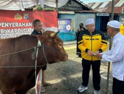 Polda Kalsel Serahkan Sapi Limosin untuk Dukung Haul ke-6 Guru Zuhdi