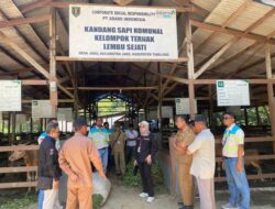 Stok Aman, Harga Terkendali! Kalsel Surplus Daging & Telur, Siap Suplai Kalteng–Kaltim