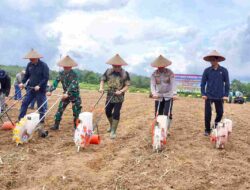 Balangan Tanam Jagung Serentak Dukung Swasembada Pangan