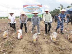 Tanam Jagung Serentak di Tala, Kalsel Dukung Target Swasembada Pangan