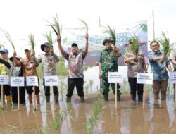 Cetak Sawah Rakyat 2026 Dimulai, Batola Targetkan Optimalisasi 1.696 Hektare