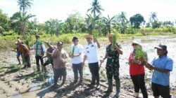Tanam Padi Perdana, Wali Kota Banjarmasin Tegaskan Komitmen Jaga Pertanian